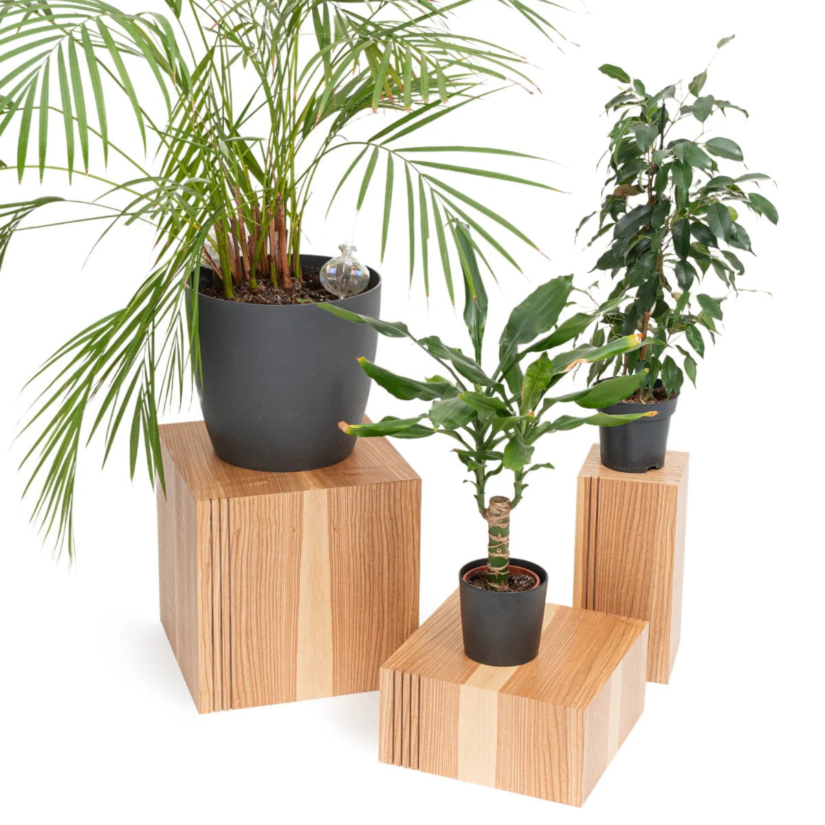 Selected product image