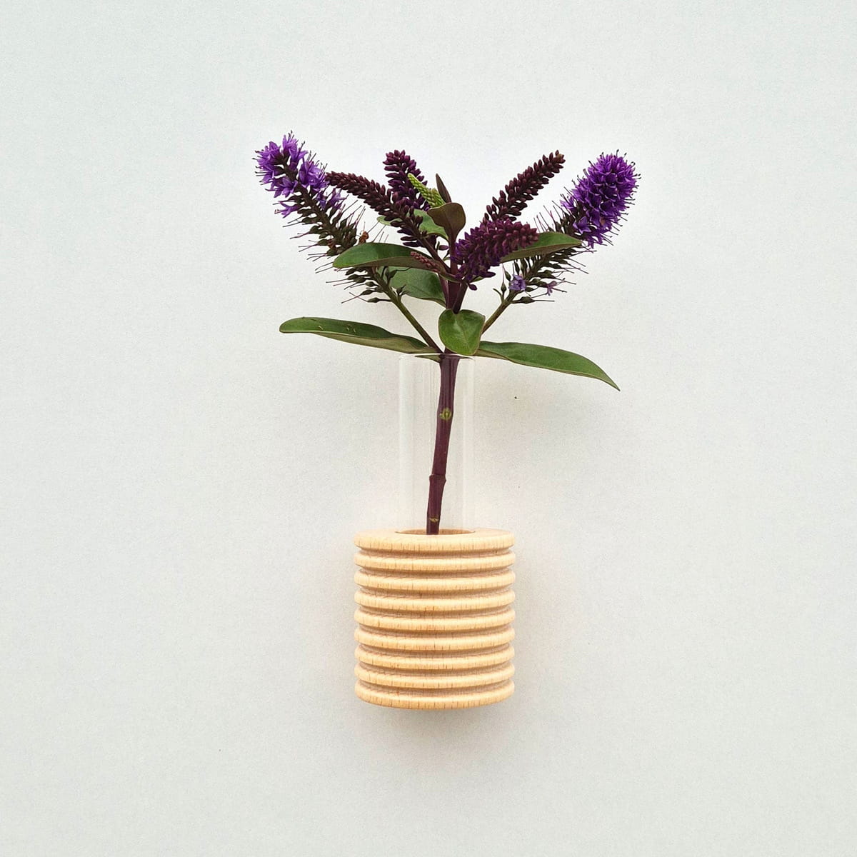Selected product image