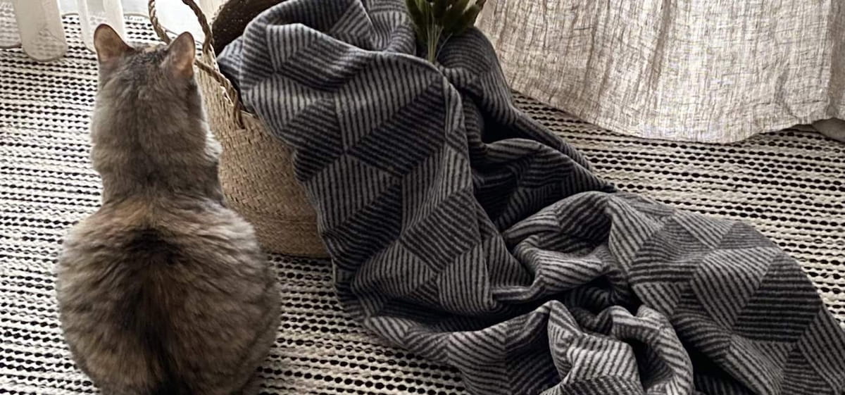 Selected product image