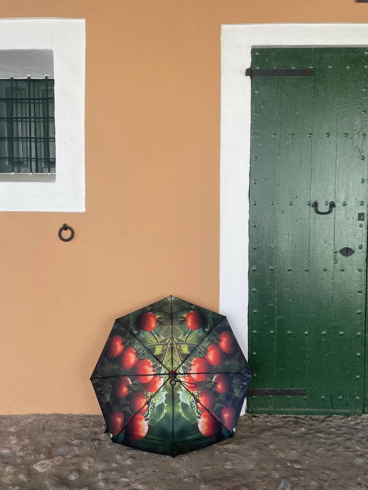 Tomato Umbrella – Windproof & UPF50+ Protection | Hertwill