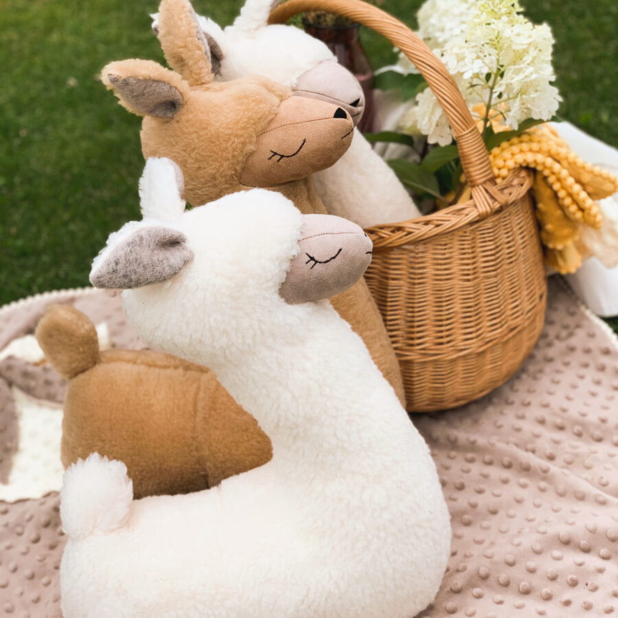 Selected product image