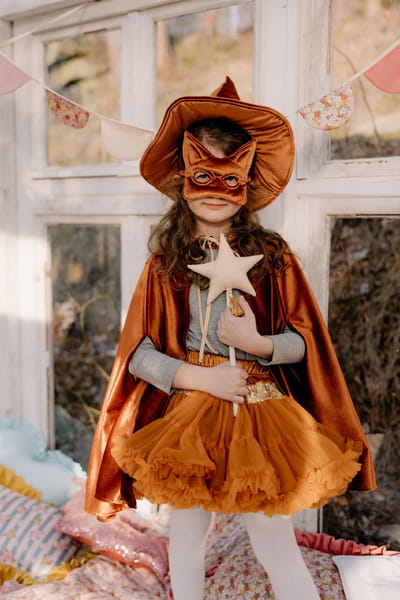 Cat Mask - Ginger