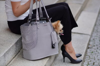 Elva Dog Carrier & Personal Bag - Light Grey 