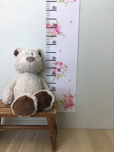 Paper Growth Chart For Kids - Princess