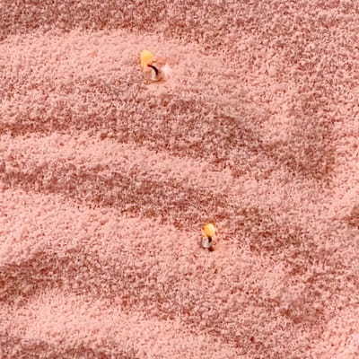 Powdered Candle Refill Kit – Unscented Peach, 330g