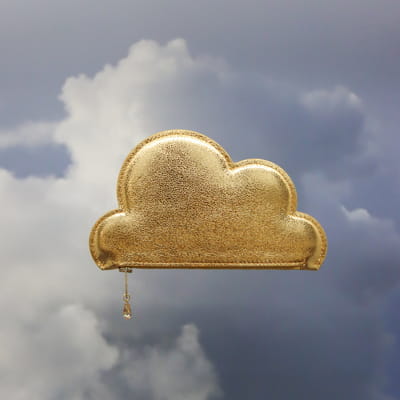 Leather Cloud Purse - Gold