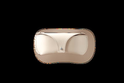 Leather Case Brillebox - Cookie